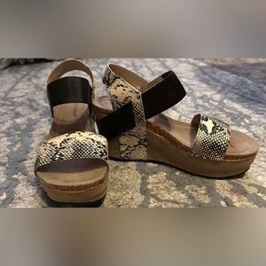 Snake Print Pierre Dumas Wedges